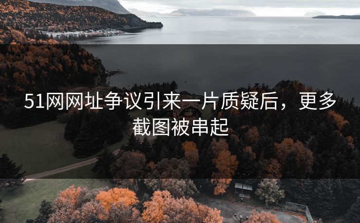 51网网址争议引来一片质疑后，更多截图被串起