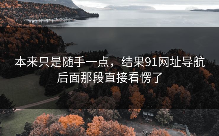 本来只是随手一点，结果91网址导航后面那段直接看愣了