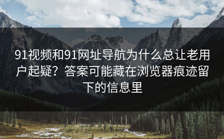 91视频和91网址导航为什么总让老用户起疑？答案可能藏在浏览器痕迹留下的信息里