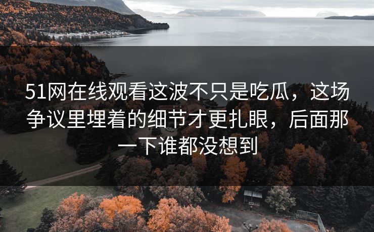 51网在线观看这波不只是吃瓜，这场争议里埋着的细节才更扎眼，后面那一下谁都没想到