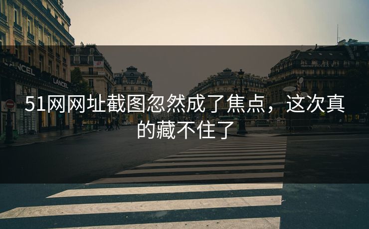 51网网址截图忽然成了焦点，这次真的藏不住了