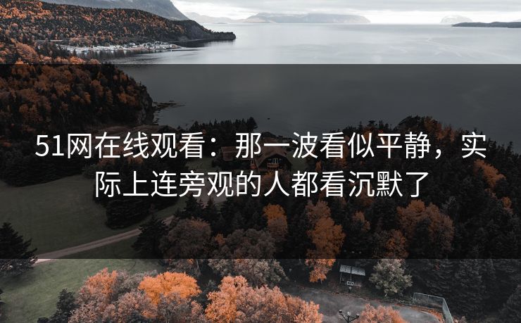 51网在线观看：那一波看似平静，实际上连旁观的人都看沉默了