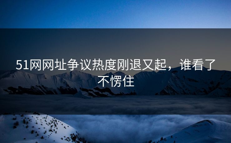 51网网址争议热度刚退又起，谁看了不愣住